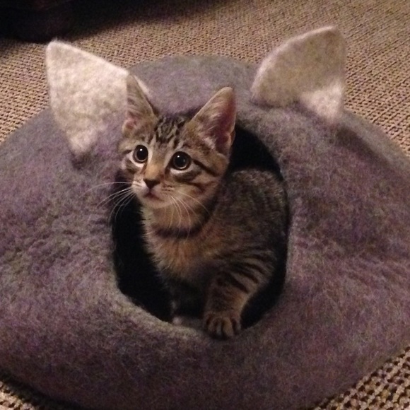 Meet your Posher, Lori - Picture 1 of 1